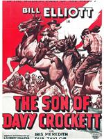 The Son of Davy Crockett在线观看和下载