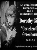 Gretchen the Greenhorn在线观看和下载
