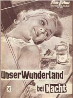 Unser Wunderland bei Nacht在线观看和下载