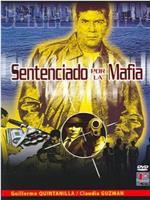 Sentenciado por la mafia在线观看和下载