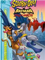 史酷比与蝙蝠侠：英勇无畏在线观看和下载