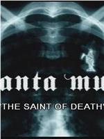 La Santa Muerte在线观看和下载