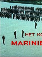 荷兰皇家海军陆战队在线观看和下载