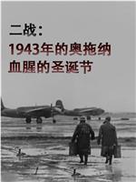 奥托纳1943：血腥圣诞在线观看和下载