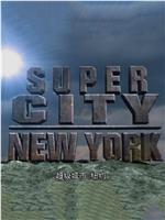 超级城市：纽约在线观看和下载