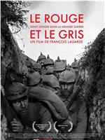 Le rouge et le gris, Ernst Jünger dans la grande guerre在线观看和下载
