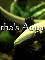 Tabitha's Aquarium在线观看和下载