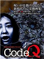 CodeQ 投稿＆心霊地帯スペシャル X 謎だらけの心霊動画集在线观看和下载