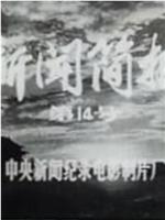 新闻简报1974年第14号在线观看和下载