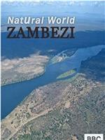 自然世界：赞比西河在线观看和下载