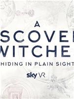 A DISCOVERY OF WITCHES – HIDING IN PLAIN SIGHT在线观看和下载