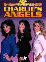 查理的天使 第五季在线观看和下载