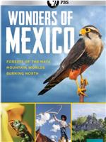 Wonders of Mexico Season 1在线观看和下载