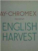English Harvest在线观看和下载