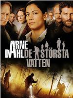 Arne Dahl: De största vatten在线观看和下载