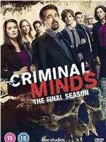 犯罪心理 第十五季在线观看和下载