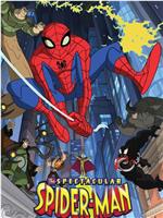 神奇蜘蛛侠 第二季在线观看和下载