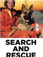 Search and Rescue在线观看和下载