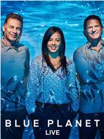 Blue Planet Live Season 1在线观看和下载