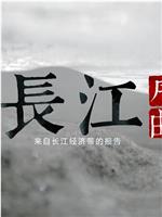 长江序曲——来自长江经济带的报告在线观看和下载
