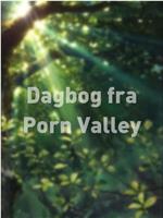 Dagbog fra Porn Valley在线观看和下载