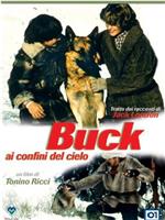 Buck ai confini del cielo在线观看和下载