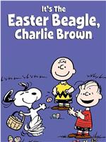 It's the Easter Beagle, Charlie Brown在线观看和下载