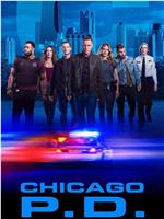 芝加哥警署 第七季在线观看和下载