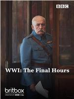 第一次世界大战：最后的时刻在线观看和下载