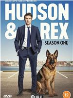 哈德森与雷克斯 第一季在线观看和下载