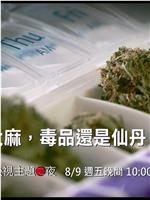 大麻：毒品还是仙丹在线观看和下载