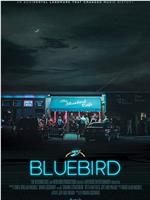 蓝鸟咖啡馆在线观看和下载