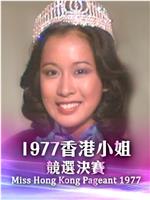 1977香港小姐竞选在线观看和下载