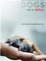 爱犬情深 第二季在线观看和下载