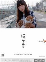 猫、かえる Cat's Home在线观看和下载