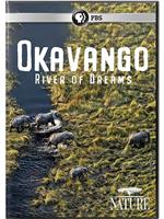 奥卡万戈：梦想之河在线观看和下载