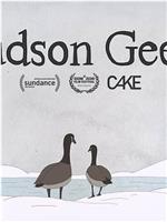 Hudson Geese在线观看和下载