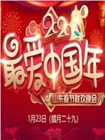 2020年山东卫视春节联欢晚会在线观看和下载