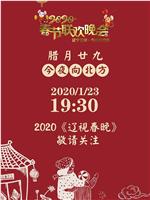 2020年辽宁卫视春节联欢晚会在线观看和下载