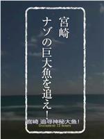 纪实72小时：宫崎 追捕神秘的巨大鱼在线观看和下载