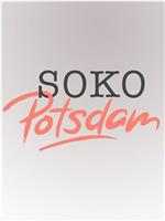 SOKO Potsdam在线观看和下载