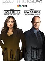 法律与秩序：特殊受害者 第二十三季在线观看和下载