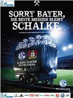 FC Schalke 04 vs Bayer 04 Leverkusen在线观看和下载