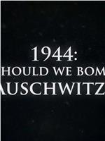 1944年：我们该轰炸奥斯威辛吗？在线观看和下载