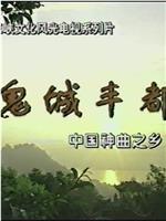鬼城丰都：中国神曲之乡在线观看和下载