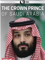 前线：沙特王储在线观看和下载