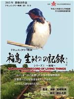 福島 生きものの記録 シリーズ1～被曝～在线观看和下载