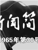 新闻简报1965年第30号在线观看和下载