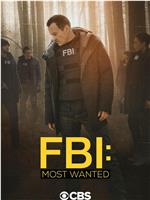 联邦调查局：通缉要犯 第二季在线观看和下载