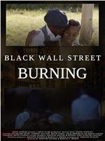 Black Wall Street Burning在线观看和下载